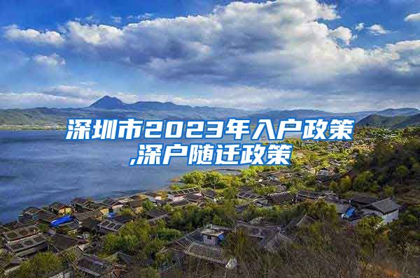 深圳市2023年入户政策,深户随迁政策