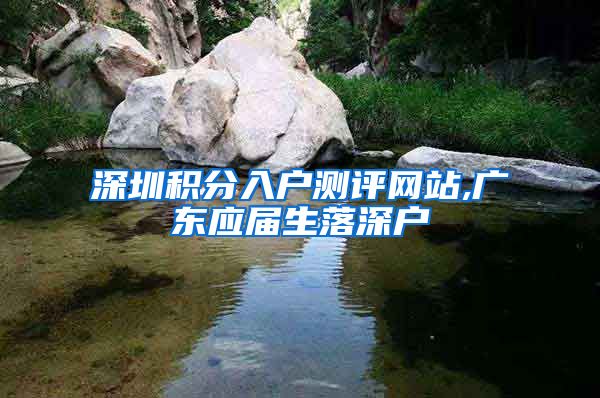 深圳积分入户测评网站,广东应届生落深户