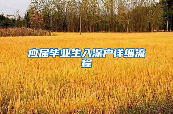 应届毕业生入深户详细流程