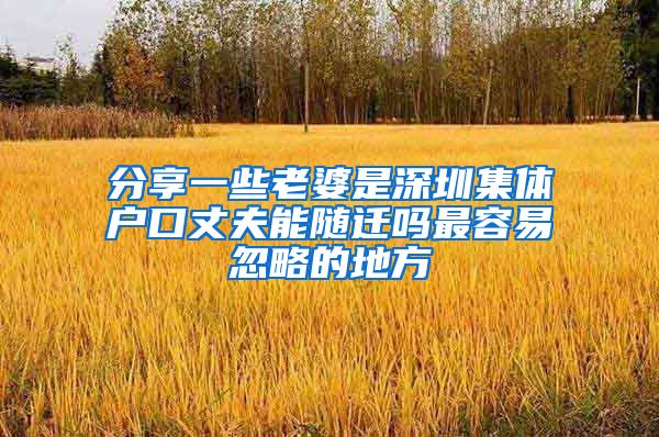分享一些老婆是深圳集体户口丈夫能随迁吗最容易忽略的地方