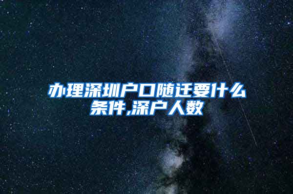 办理深圳户口随迁要什么条件,深户人数