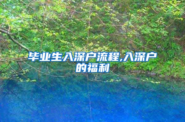 毕业生入深户流程,入深户的福利