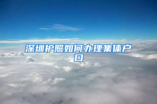 深圳护照如何办理集体户口