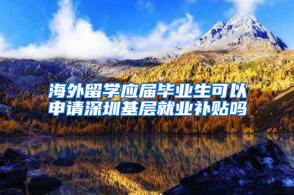 海外留学应届毕业生可以申请深圳基层就业补贴吗
