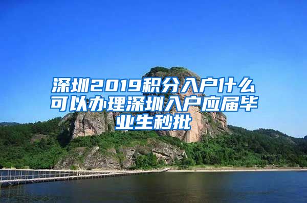 深圳2019积分入户什么可以办理深圳入户应届毕业生秒批