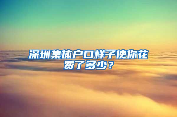 深圳集体户口样子使你花费了多少？