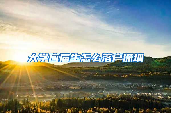 大学应届生怎么落户深圳