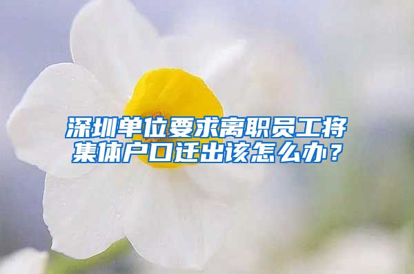 深圳单位要求离职员工将集体户口迁出该怎么办？