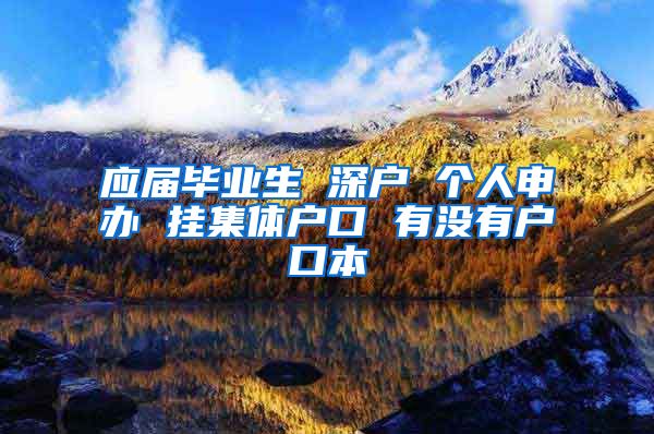 应届毕业生 深户 个人申办 挂集体户口 有没有户口本