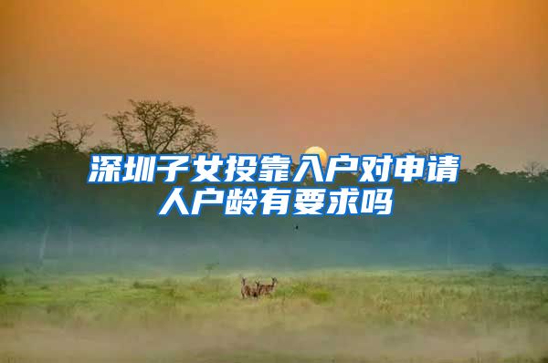 深圳子女投靠入户对申请人户龄有要求吗
