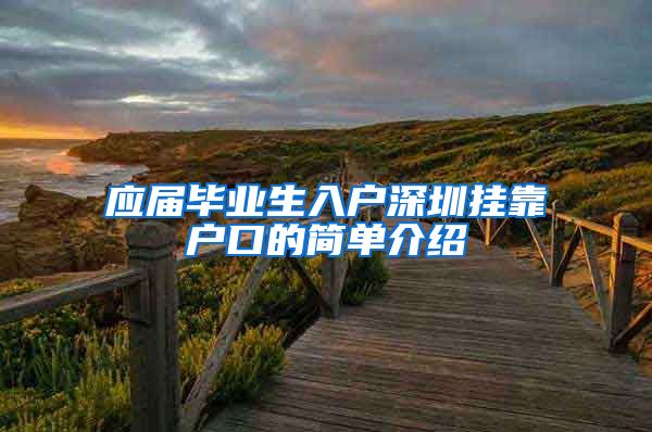 应届毕业生入户深圳挂靠户口的简单介绍