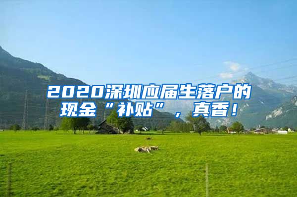 2020深圳应届生落户的现金“补贴”，真香！