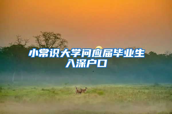 小常识大学问应届毕业生入深户口