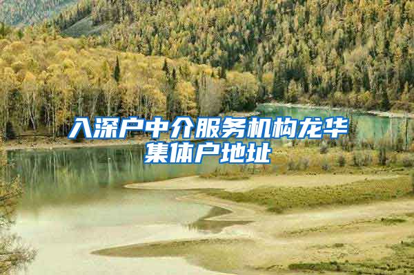 入深户中介服务机构龙华集体户地址