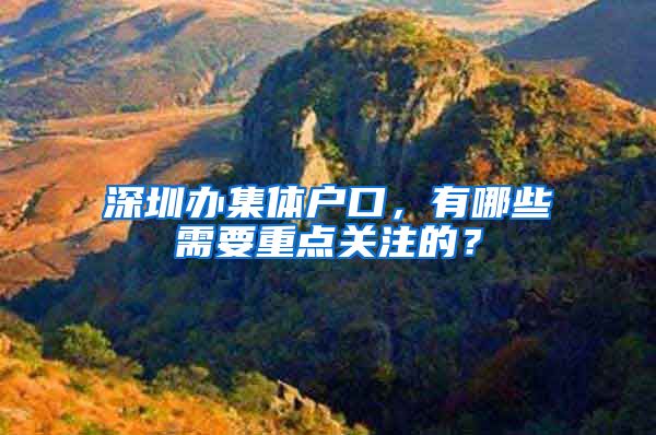 深圳办集体户口，有哪些需要重点关注的？