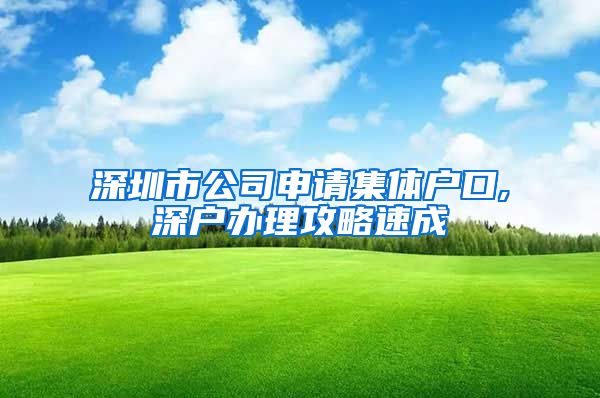 深圳市公司申请集体户口,深户办理攻略速成