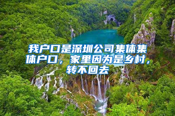 我户口是深圳公司集体集体户口，家里因为是乡村，转不回去