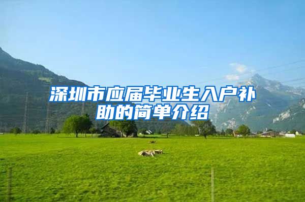 深圳市应届毕业生入户补助的简单介绍