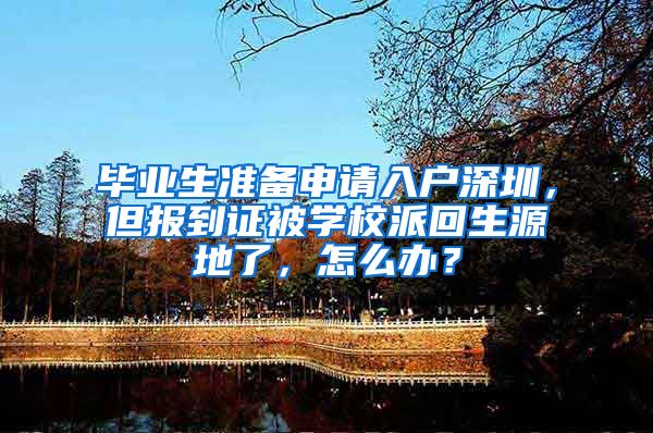 毕业生准备申请入户深圳，但报到证被学校派回生源地了，怎么办？