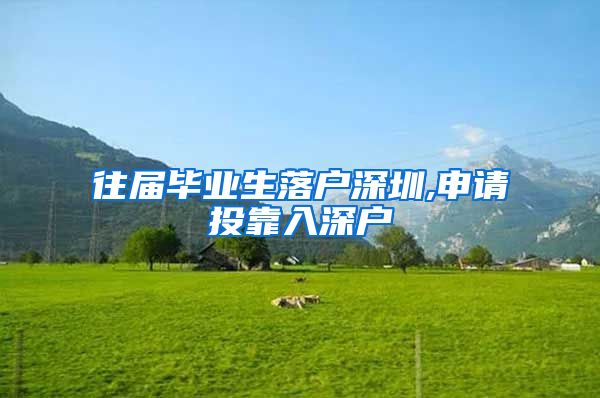 往届毕业生落户深圳,申请投靠入深户