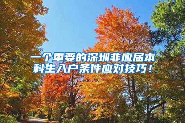一个重要的深圳非应届本科生入户条件应对技巧！