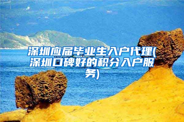 深圳应届毕业生入户代理(深圳口碑好的积分入户服务)