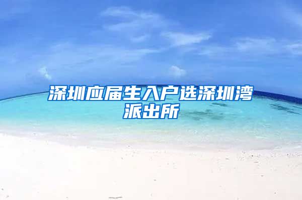 深圳应届生入户选深圳湾派出所