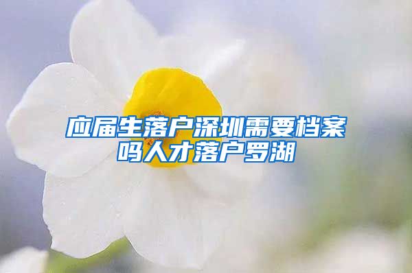 应届生落户深圳需要档案吗人才落户罗湖