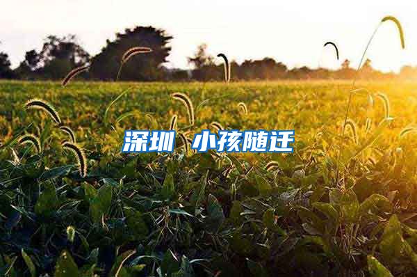 深圳 小孩随迁