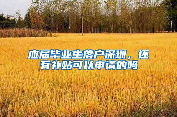 应届毕业生落户深圳，还有补贴可以申请的吗