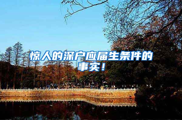 惊人的深户应届生条件的事实！
