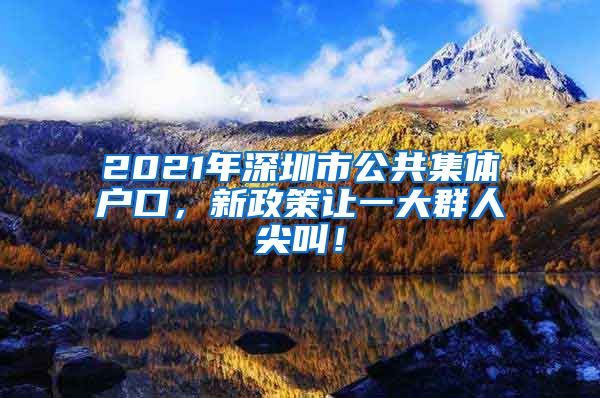 2021年深圳市公共集体户口，新政策让一大群人尖叫！