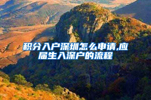 积分入户深圳怎么申请,应届生入深户的流程