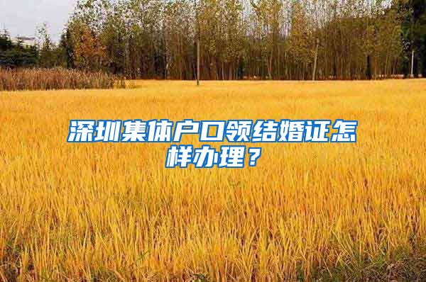 深圳集体户口领结婚证怎样办理？