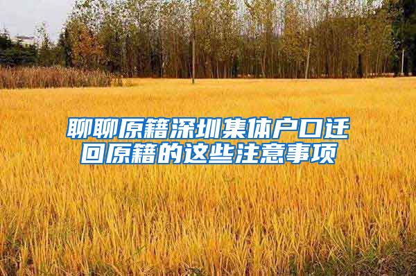 聊聊原籍深圳集体户口迁回原籍的这些注意事项
