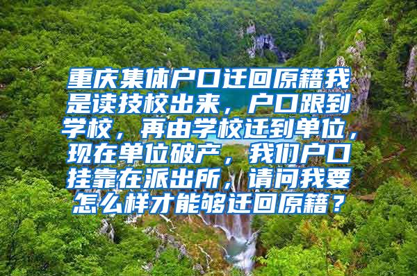 重庆集体户口迁回原籍我是读技校出来，户口跟到学校，再由学校迁到单位，现在单位破产，我们户口挂靠在派出所，请问我要怎么样才能够迁回原籍？