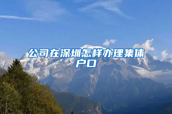 公司在深圳怎样办理集体户口