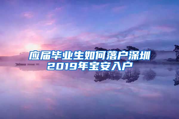 应届毕业生如何落户深圳2019年宝安入户