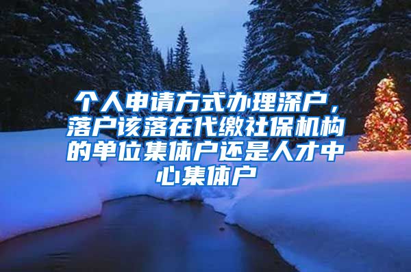 个人申请方式办理深户，落户该落在代缴社保机构的单位集体户还是人才中心集体户