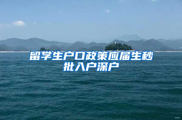 留学生户口政策应届生秒批入户深户