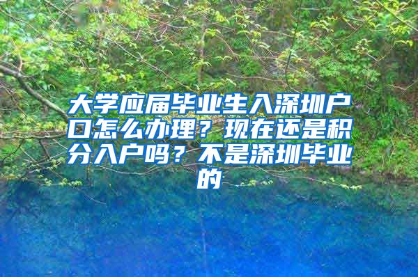 大学应届毕业生入深圳户口怎么办理？现在还是积分入户吗？不是深圳毕业的