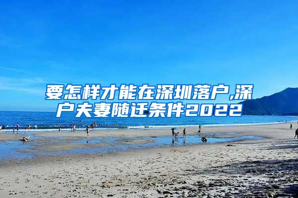 要怎样才能在深圳落户,深户夫妻随迁条件2022