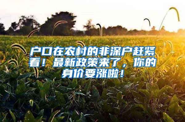 户口在农村的非深户赶紧看！最新政策来了，你的身价要涨啦！