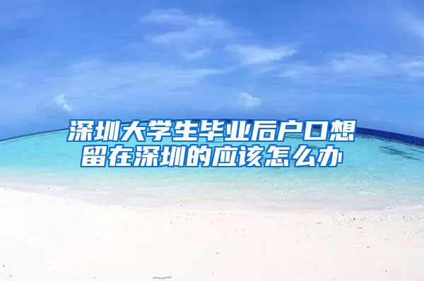 深圳大学生毕业后户口想留在深圳的应该怎么办