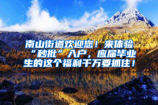 南山街道欢迎您！来体验“秒批”入户，应届毕业生的这个福利千万要抓住！