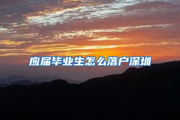 应届毕业生怎么落户深圳