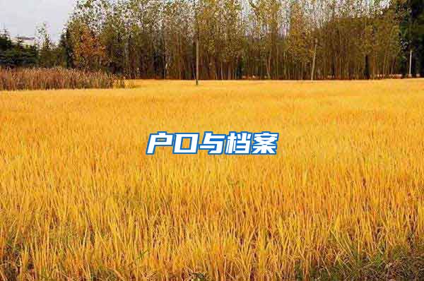 户口与档案