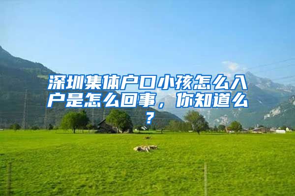 深圳集体户口小孩怎么入户是怎么回事，你知道么？