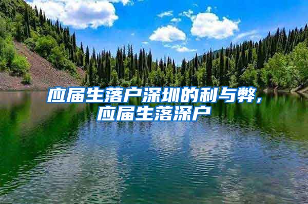 应届生落户深圳的利与弊,应届生落深户