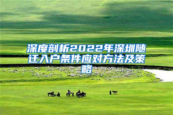 深度剖析2022年深圳随迁入户条件应对方法及策略